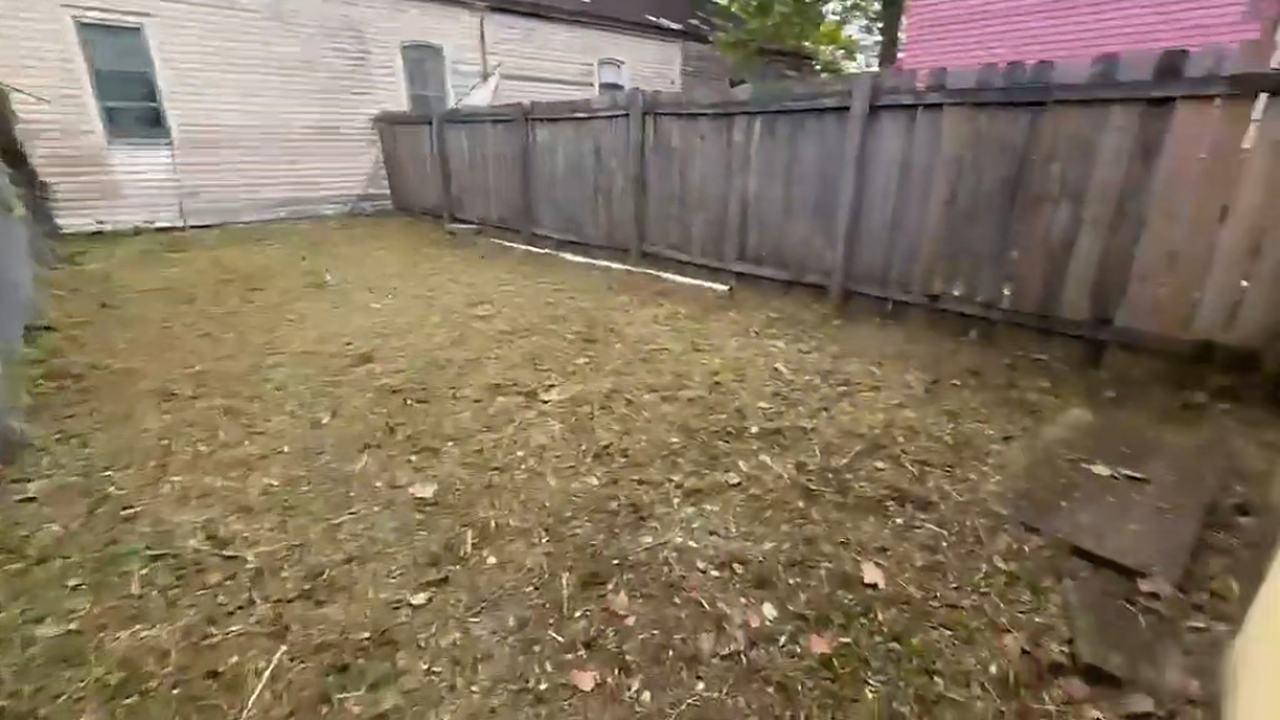 After: the same side yard cut to the ground and cleared