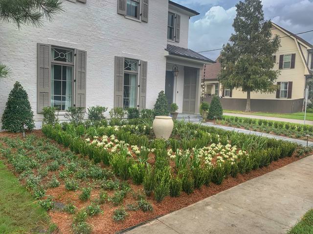 A formal parterre front garden: boxwood-edged beds, white annuals and an urn at the center