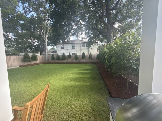 New sod edged with a row of young magnolias and a screen along the fence, under live oaks