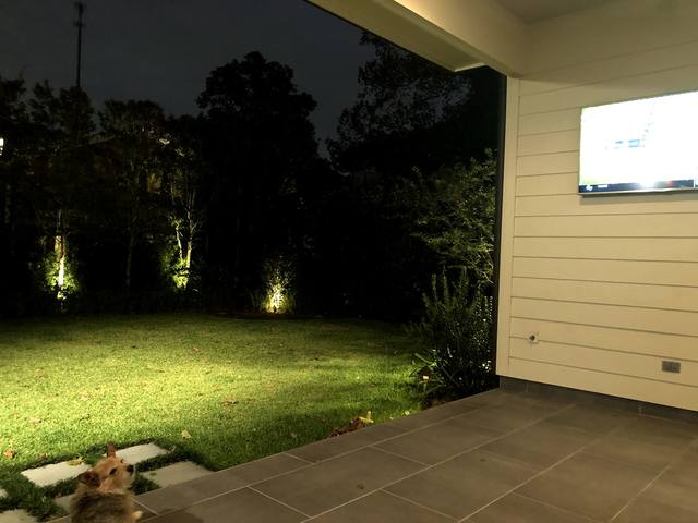 A new lawn at night with an uplit screen of trees beside a tiled patio
