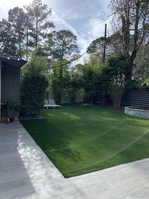 A modern backyard: new sod, grey pavers and a bamboo privacy screen
