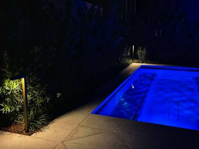 A pool lit blue at night beside ornamental grasses